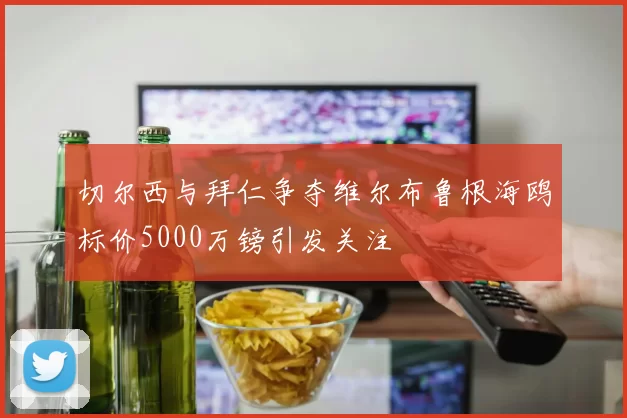 切尔西与拜仁争夺维尔布鲁根海鸥标价5000万镑引发关注