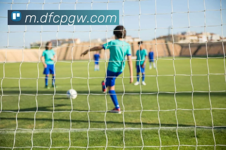 大发彩票官网平台生态图